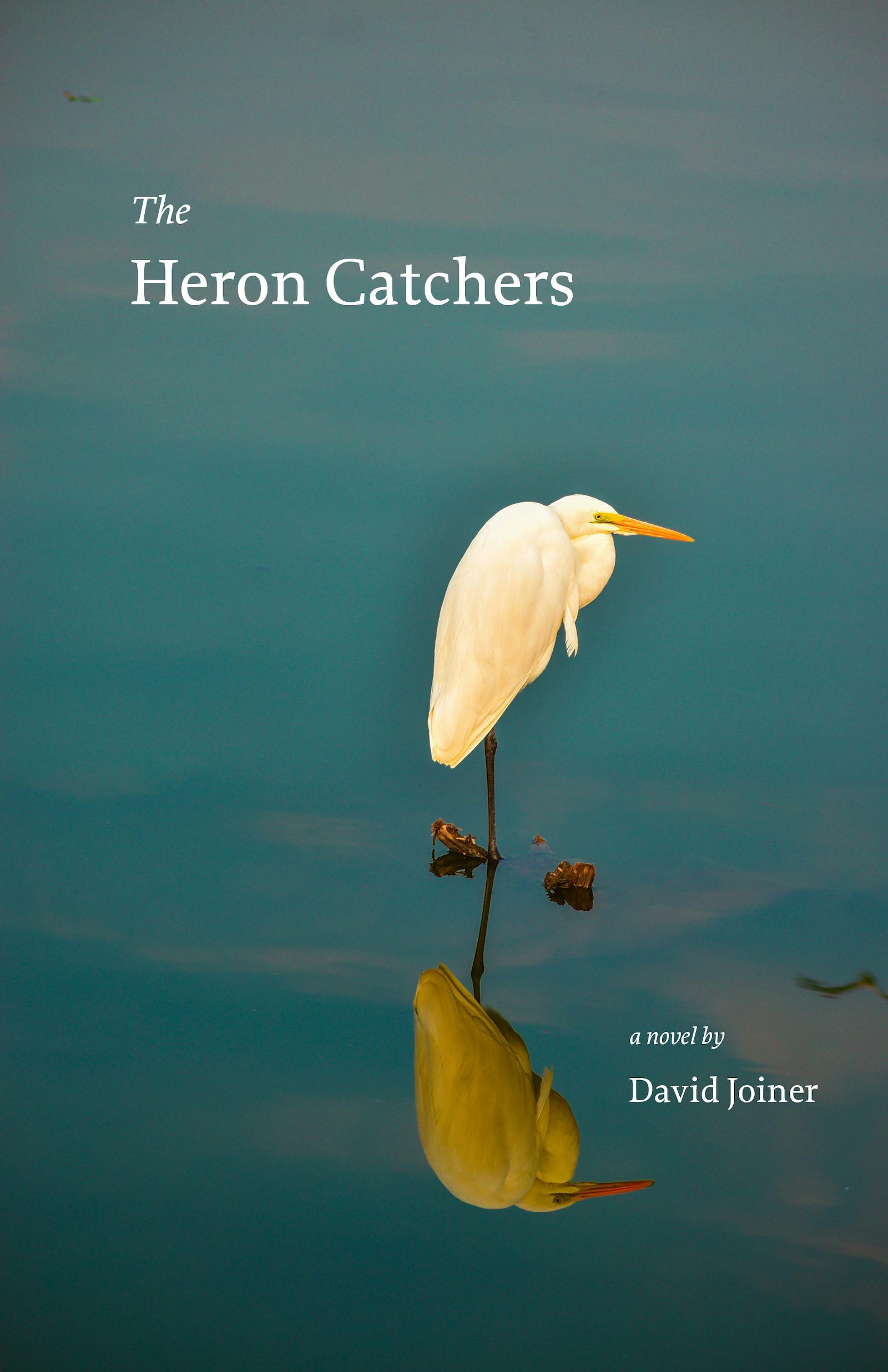 Book cover image for The Heron Catchers ISBN: 9781611729627
